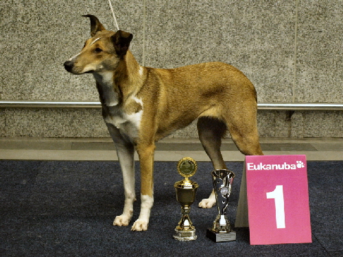 Yumi, Bundesjugendsieger 2014